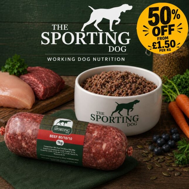 The Sporting Dog