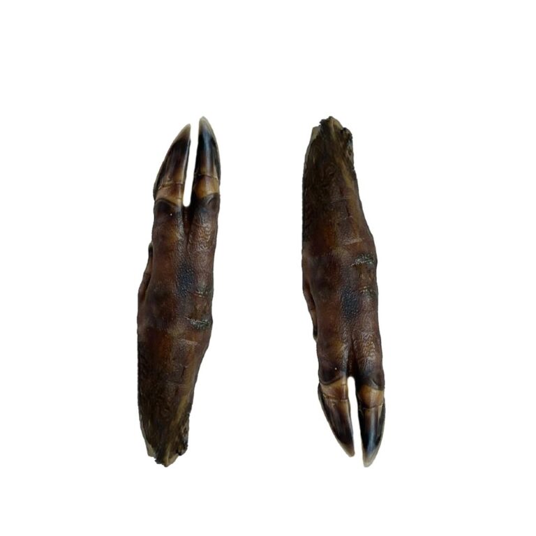 Wild Boar Trotters