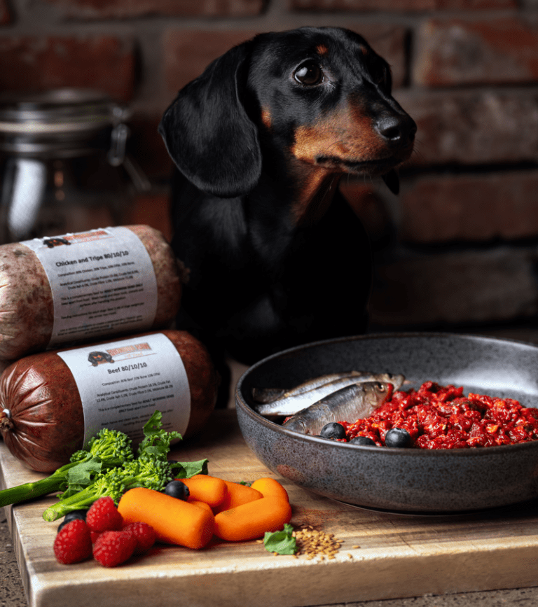Raw Food Diet for Dogs